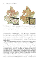 thumbnail page 1