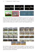 thumbnail page 11